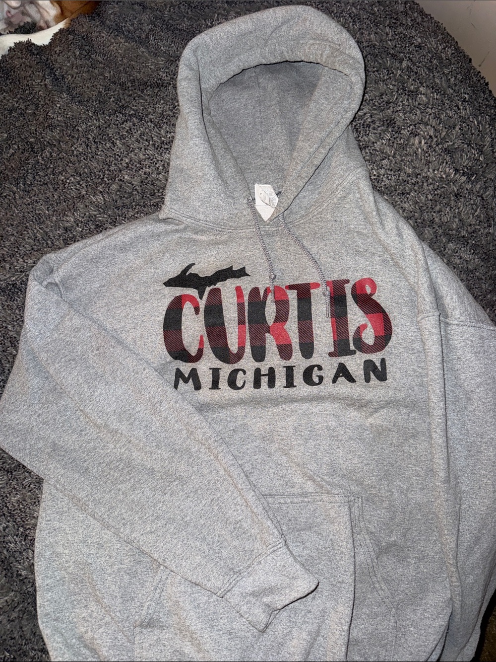 Gildan Gray Hoodie with Blue Logo Tag